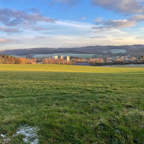 Die Kreis-Abfallgesellschaft plant im Gewerbegebiet ein Bauprojekt.