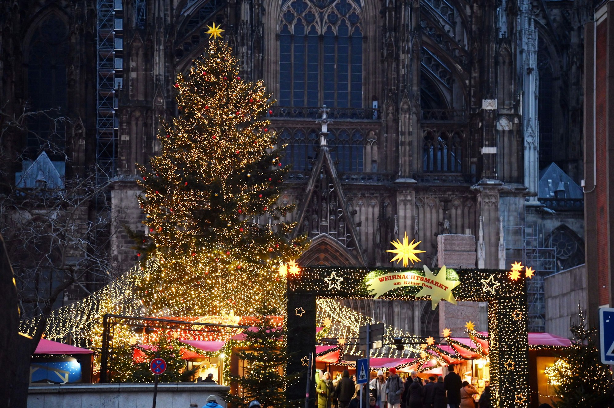 12.12.2024 Köln. Weihnachtsbäume in der Stadt. Weihnachtsmarkt am Dom. Foto: Alexander Schwaiger