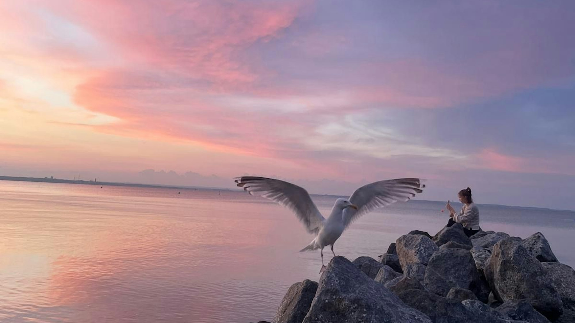 Das Bild zeigt eine Frau und eine Möwe auf einem Fels.