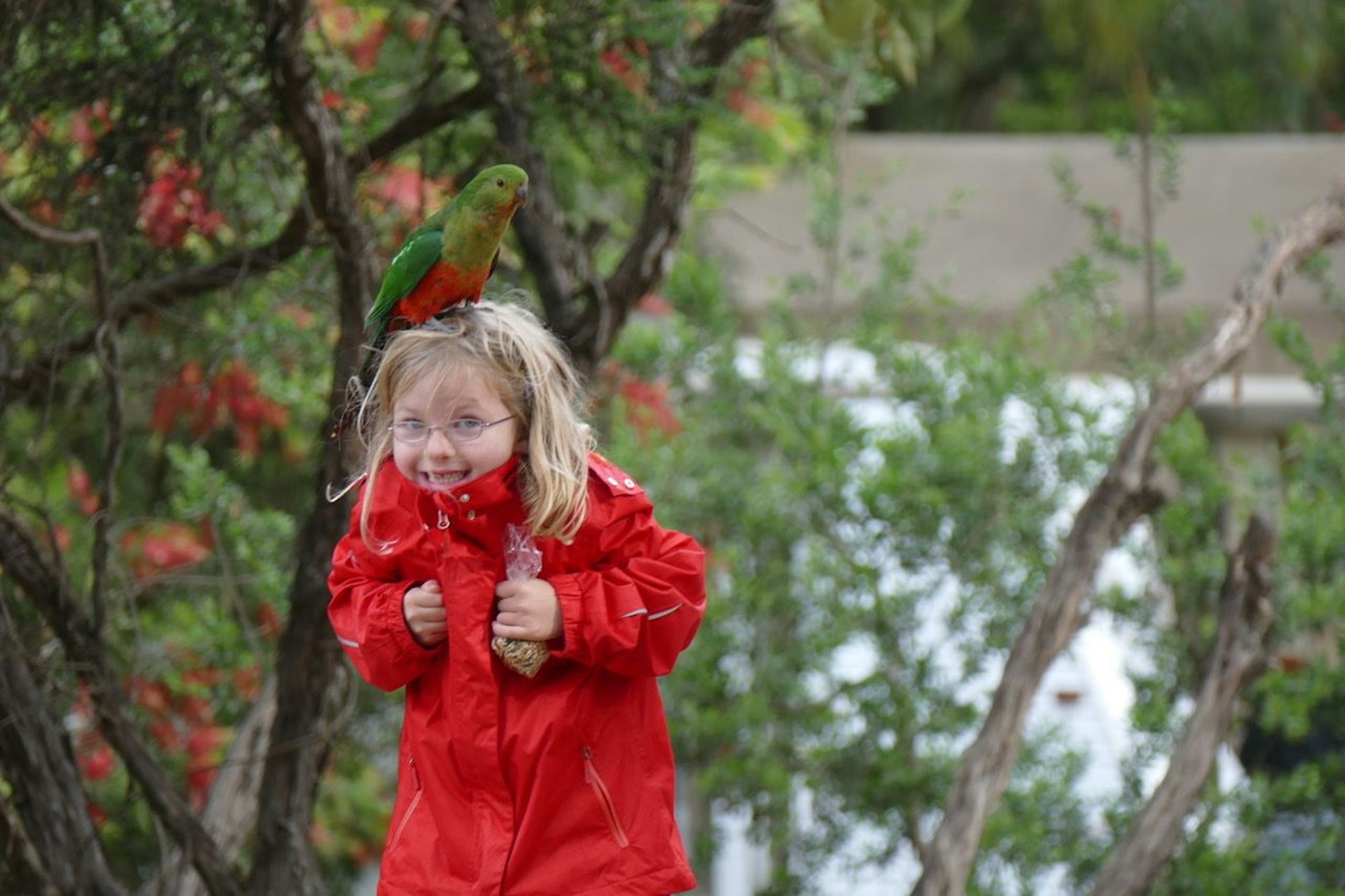 Das Bild zeigt ein Kind mit einem Vogel auf dem Kopf.