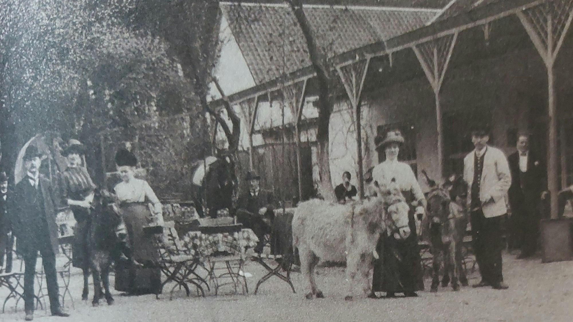 Menschen im Sonntagsstaat, um 1900 stehen in einem Ausflugslokal und führen kleine Esel.