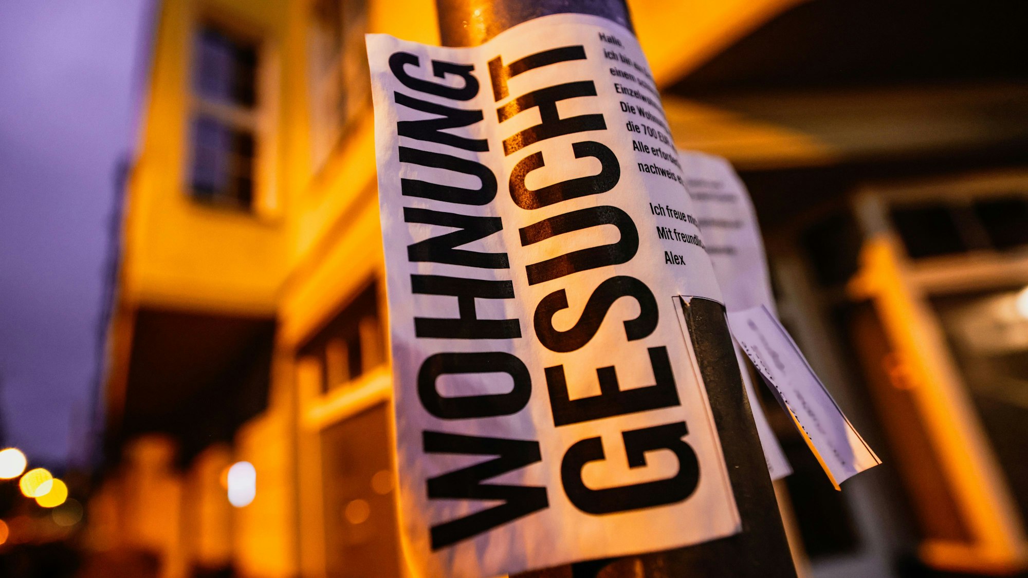 Das Symbolfoto zeigt ein Schild mit dem Wortlaut "Wohnung gesucht".