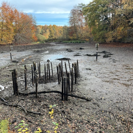 Der BUND baut im Rahmen eines Projekts Sperren in Entwässerungsgräben, um Moore in der Lohmarer Teichlandschaft wieder zu vernässen.