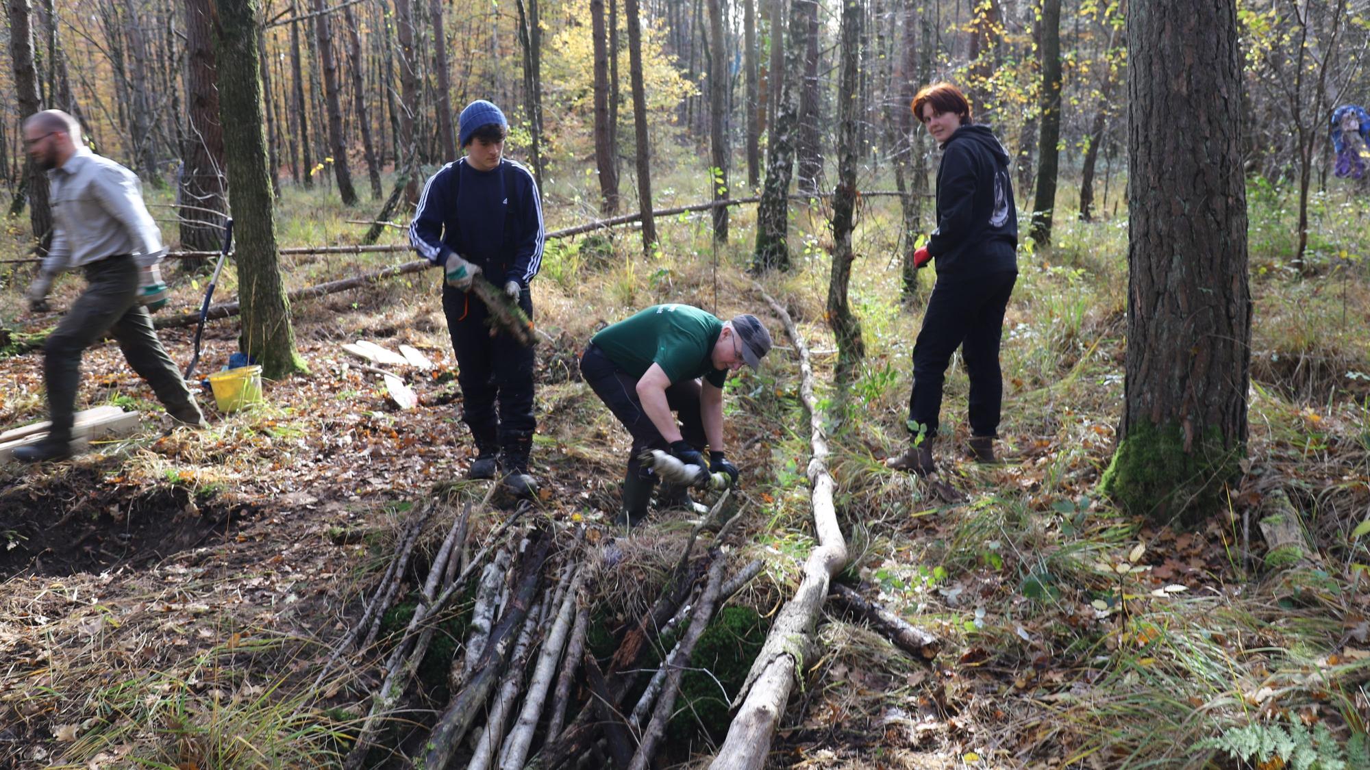 Ehrenamtler und Förster bedecken die neuen Holzsperren mit Erde, Holz und Pfeifengras.