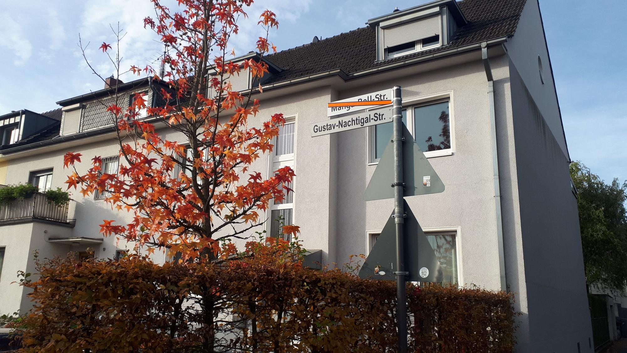 Die neuen Schilder für die Manga-Bell-Straße sind angebracht. Noch ist die beschlossene Umbenennung jedoch nicht in Kraft getreten. (Archivbild)