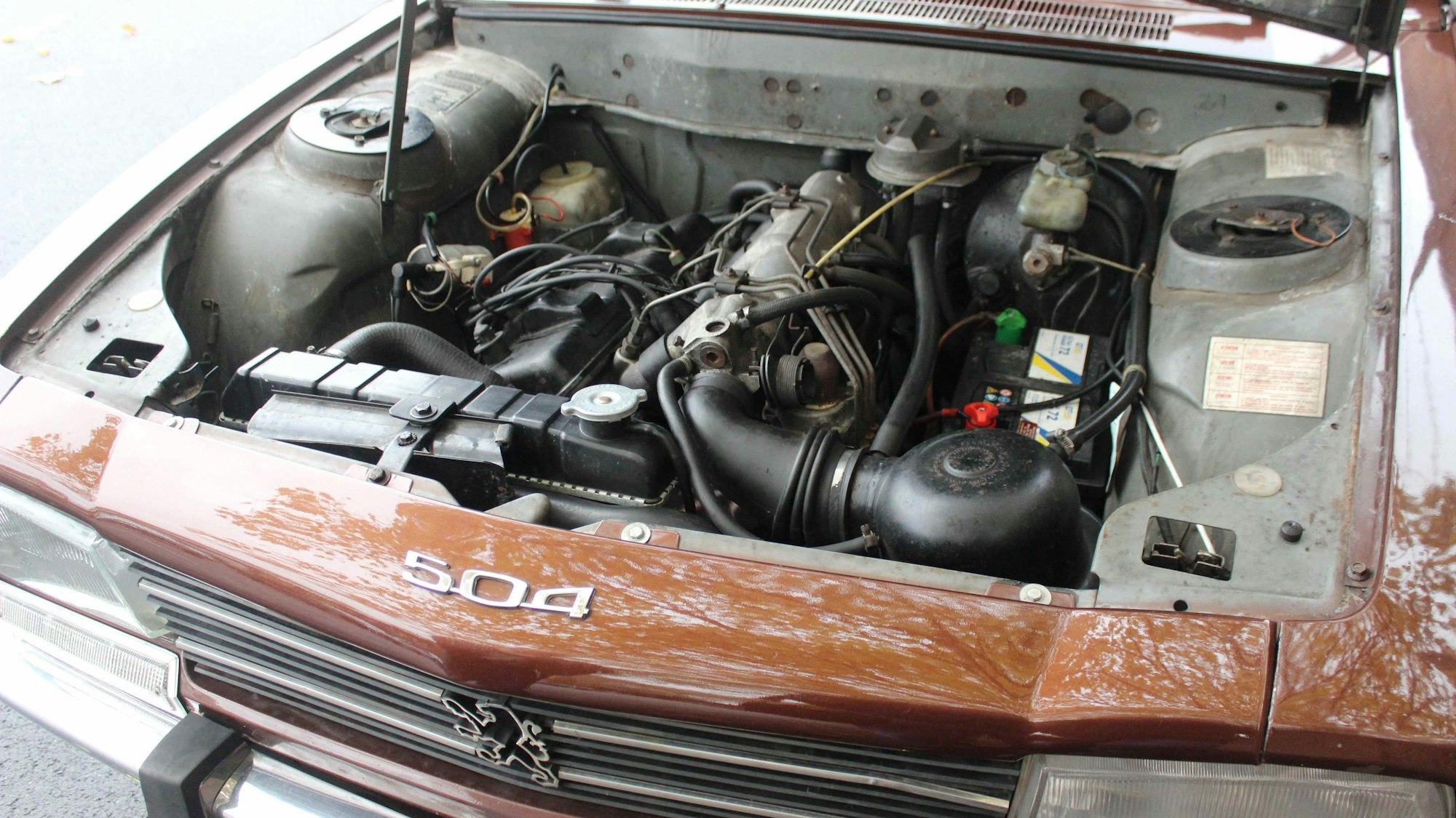 Solide und flott unterwegs - nicht die Technik, sondern der Rost machte vielen 504-ern den Garaus.