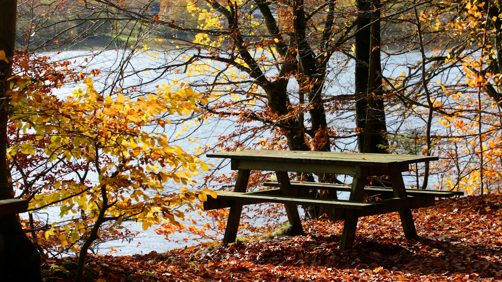 Eine Bank-Tisch-Garnitur steht unweit des Ufers der Lingesetalsperre im Bergischen Land.