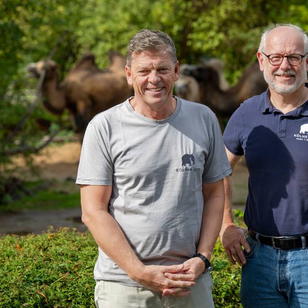 Im Gespräch zum 165-jährigen Jubiläum diskutieren die Direktoren zukünftige Entwicklungen inklusive neuer digitaler Angebote.
