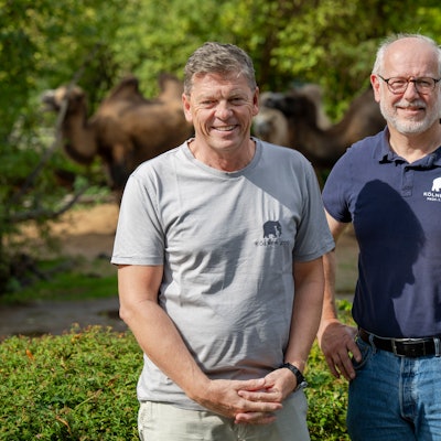 Im Gespräch zum 165-jährigen Jubiläum diskutieren die Direktoren zukünftige Entwicklungen inklusive neuer digitaler Angebote.