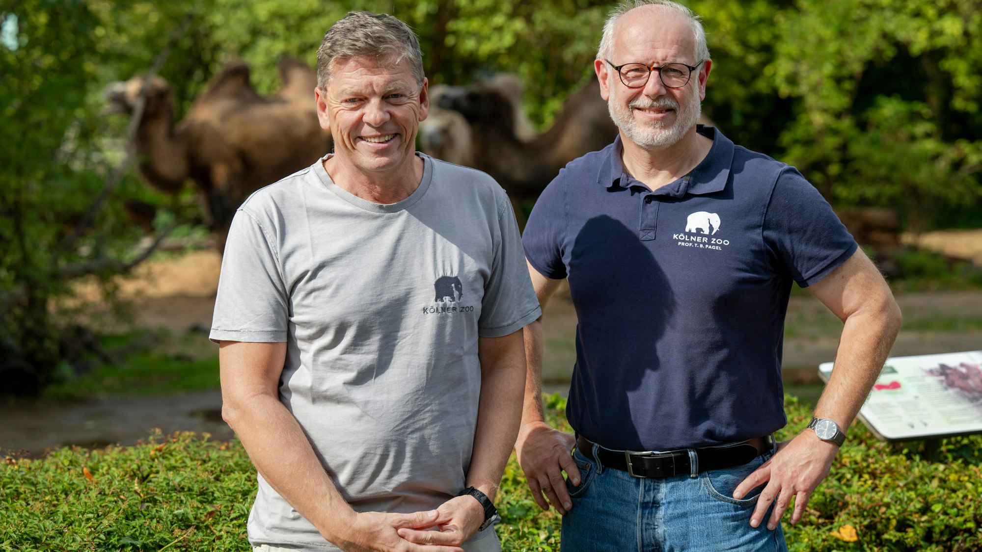 Im Gespräch zum 165-jährigen Jubiläum diskutieren die Direktoren zukünftige Entwicklungen inklusive neuer digitaler Angebote.