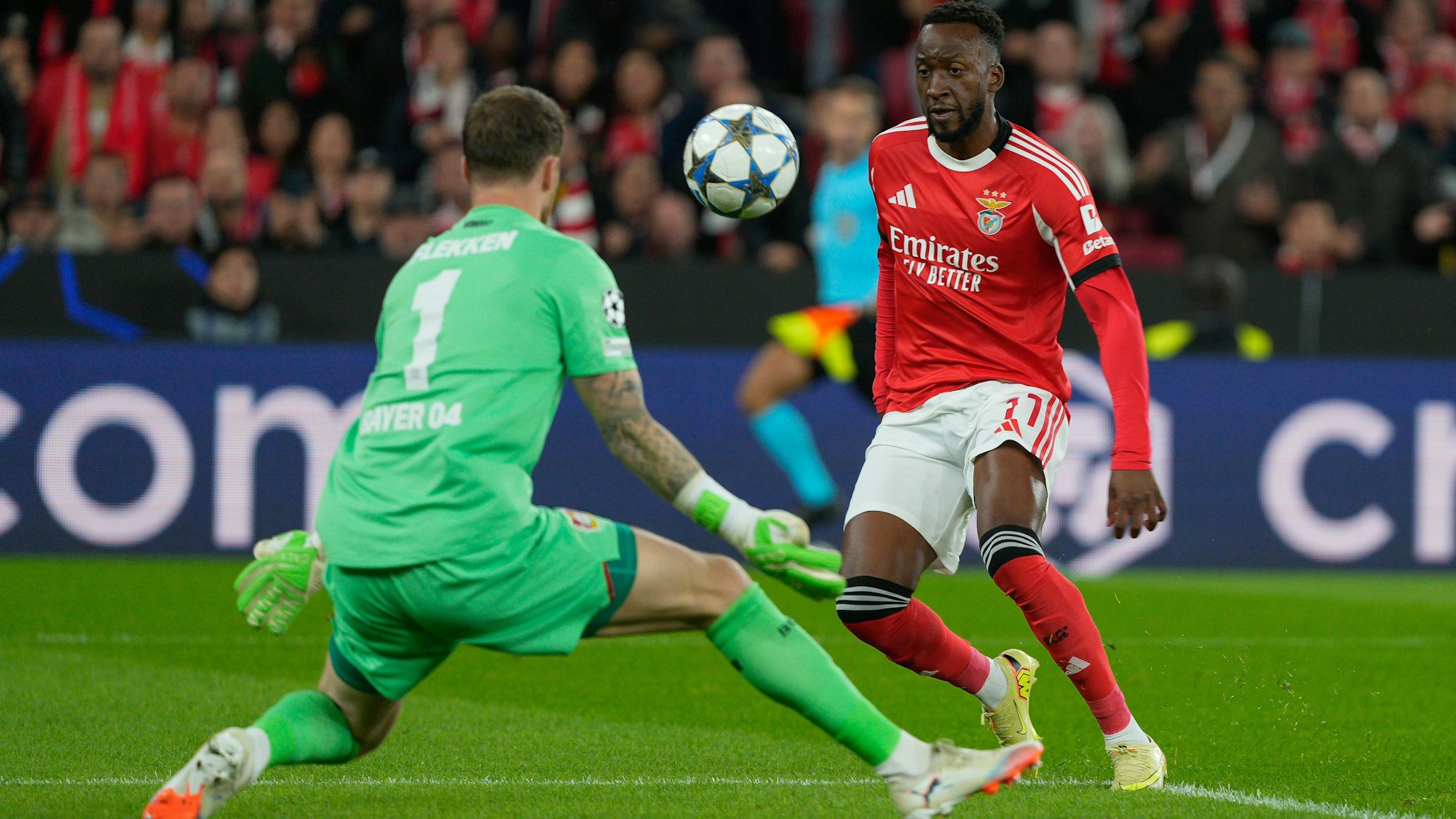 UEFA CHAMPIONS LEAGUE: BENFICA x LEVERKUSEN Mark Flekken of Bayer Leverkusen L and Dodi Lukebakio of SL Benfica R in action during UEFA Champions League 2025/26 League phase Matchday 4 between SL Benfica and Bayer Leverkusen at Estadio da Luz in Lisbon, Portugal. 05/11/2025 Lisbon Estadio da Luz Lisbon Portugal Copyright: xBrunoxdexCarvalhox
