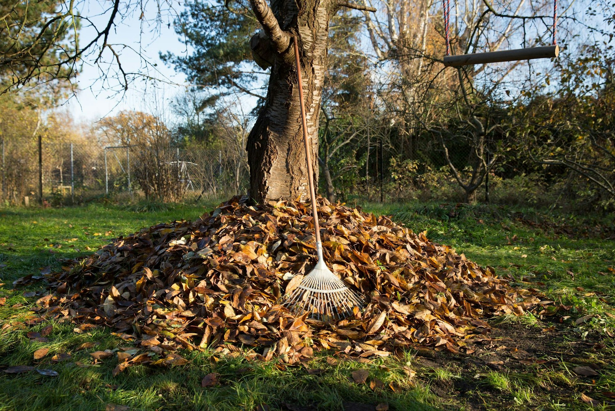 Laubhaufen im Garten? Statt das Herbstlaub zu entsorgen, kann es als Unterschlupf für Igel und Insekten dienen.