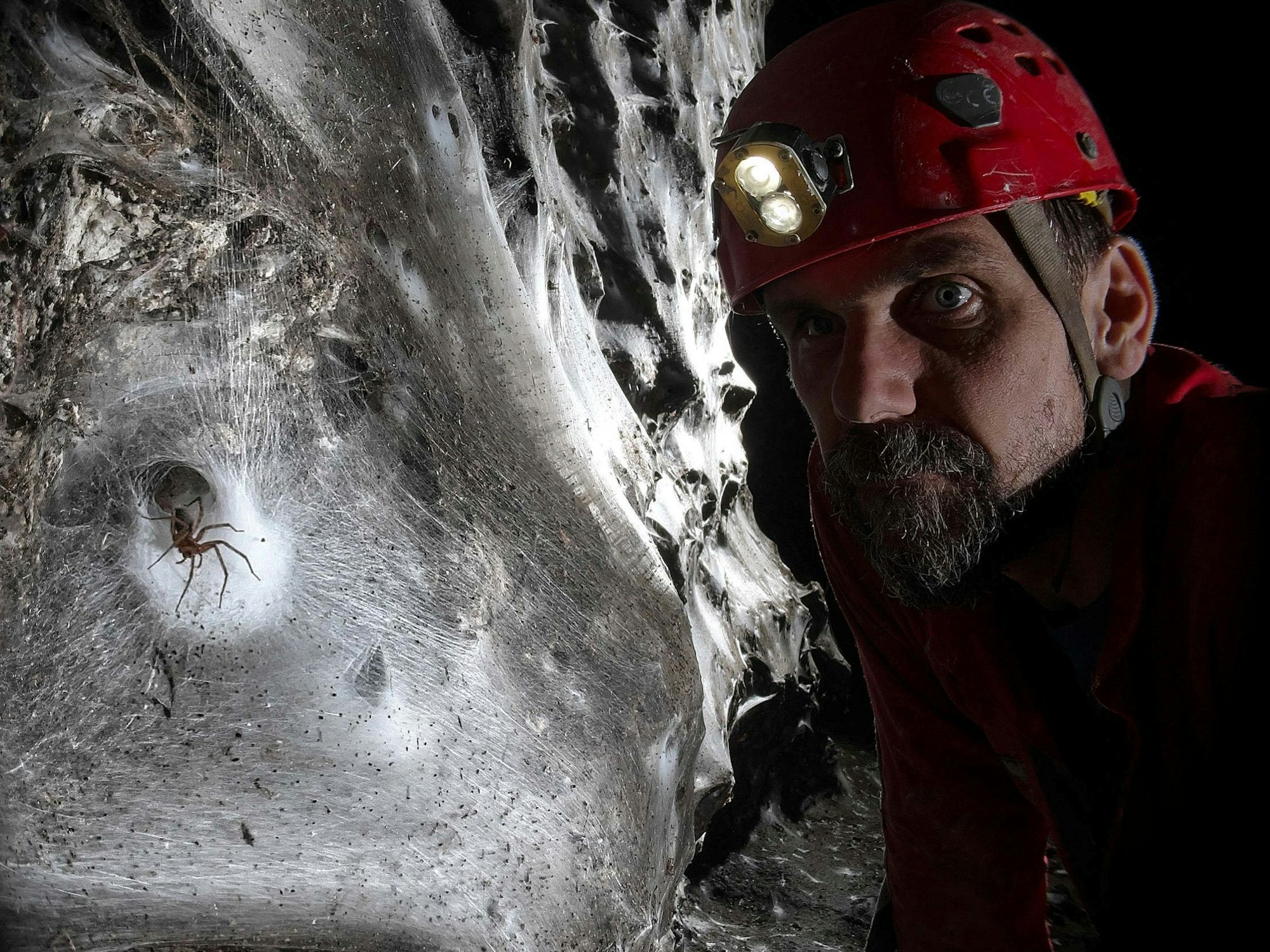 Ein Wissenschaftler vor dem riesigen Spinnennetz