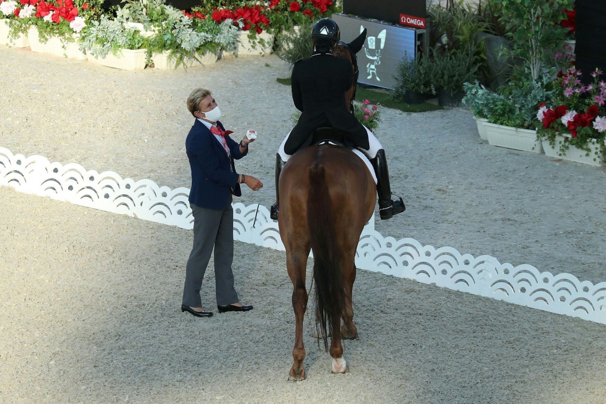 Die «Blut-Regel» im Reitsport wurde für Springpferde abgemildert. In der Dressur gilt weiter die bisherige und strengere Regel.