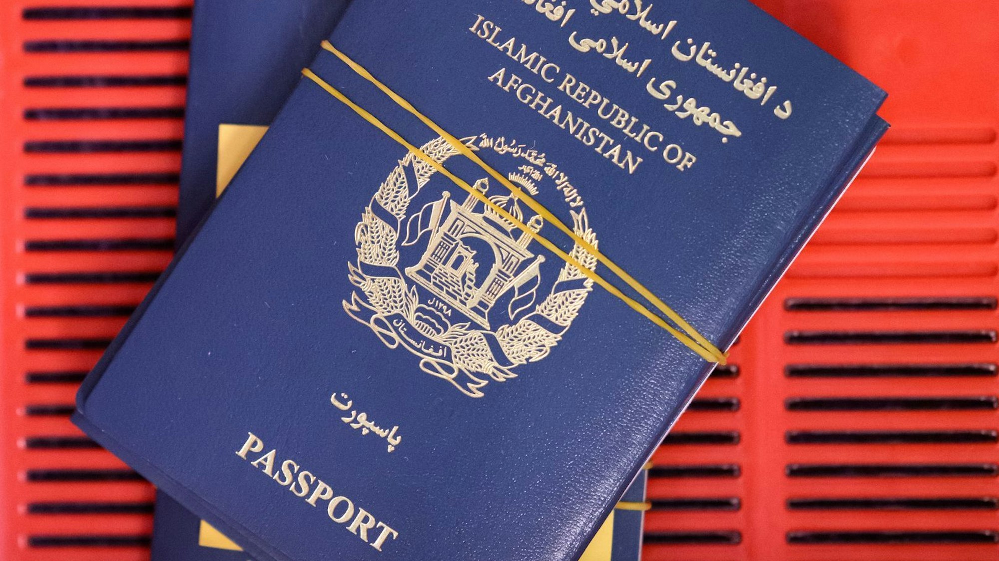 Kritiker warnen vor der Übernahme sensibler Daten