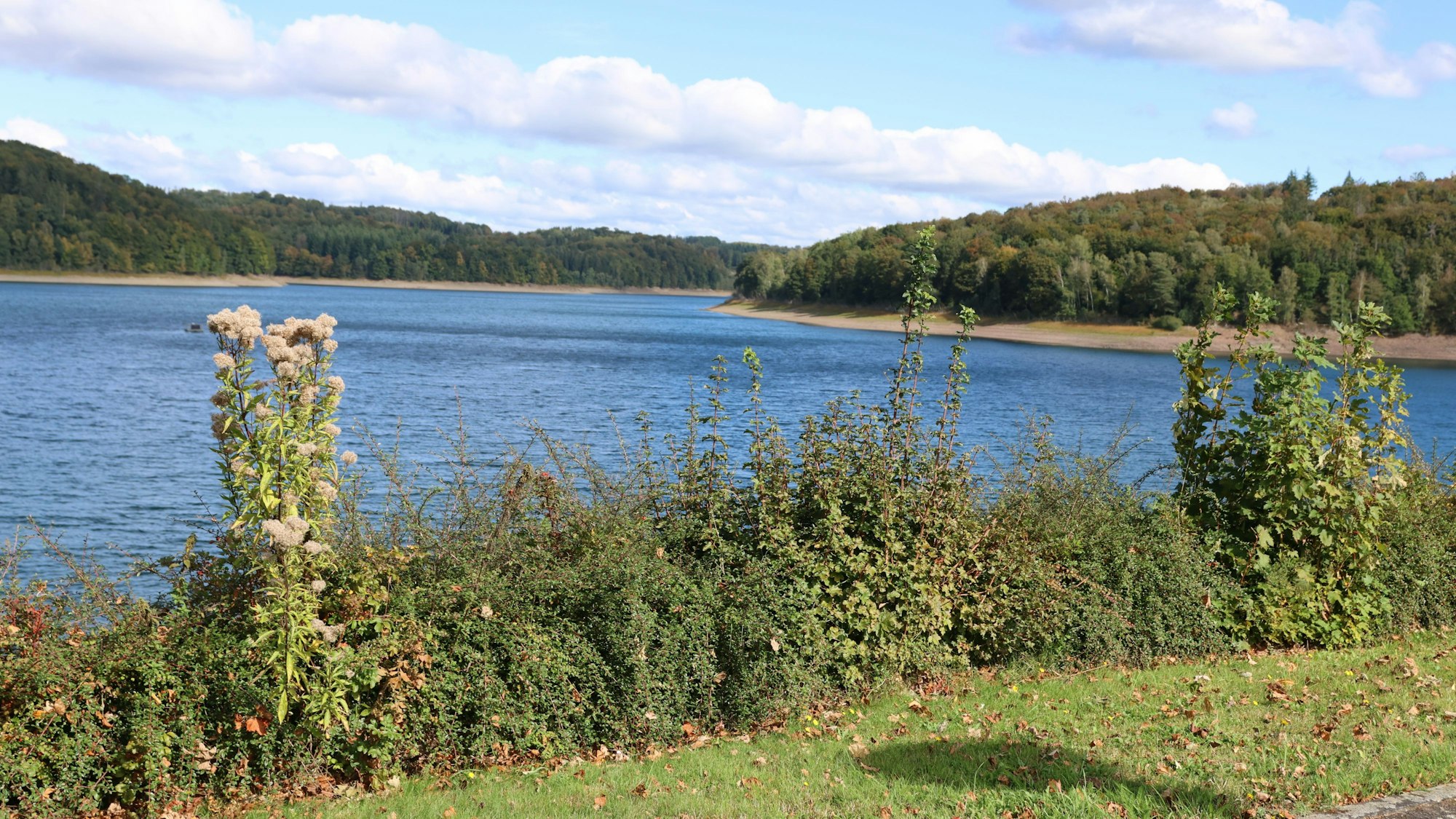 Das Symbolfoto zeigt die Wiehltalsperre bei Brüchermühle.