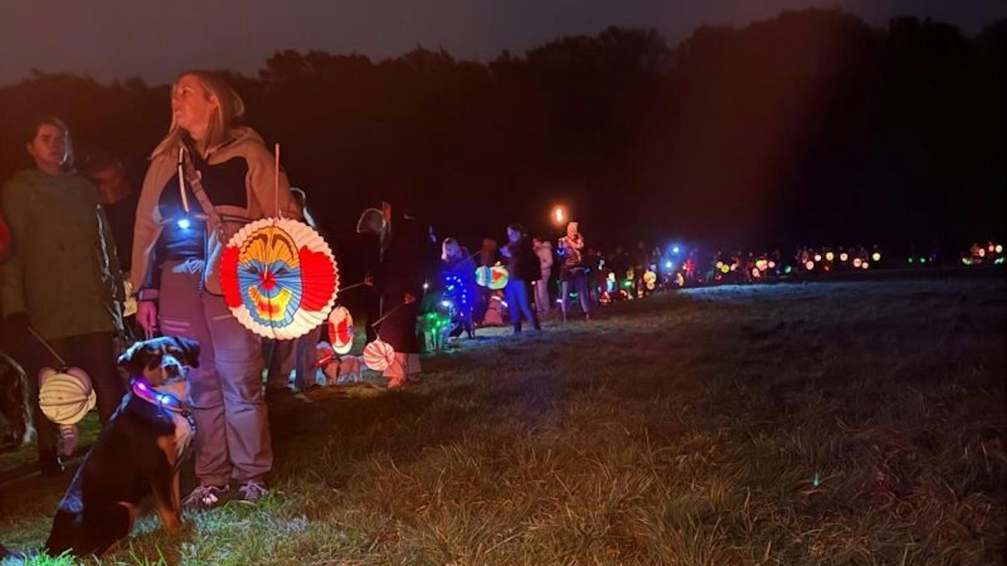 Laternenlauf mit Hunden. (Archivbild)