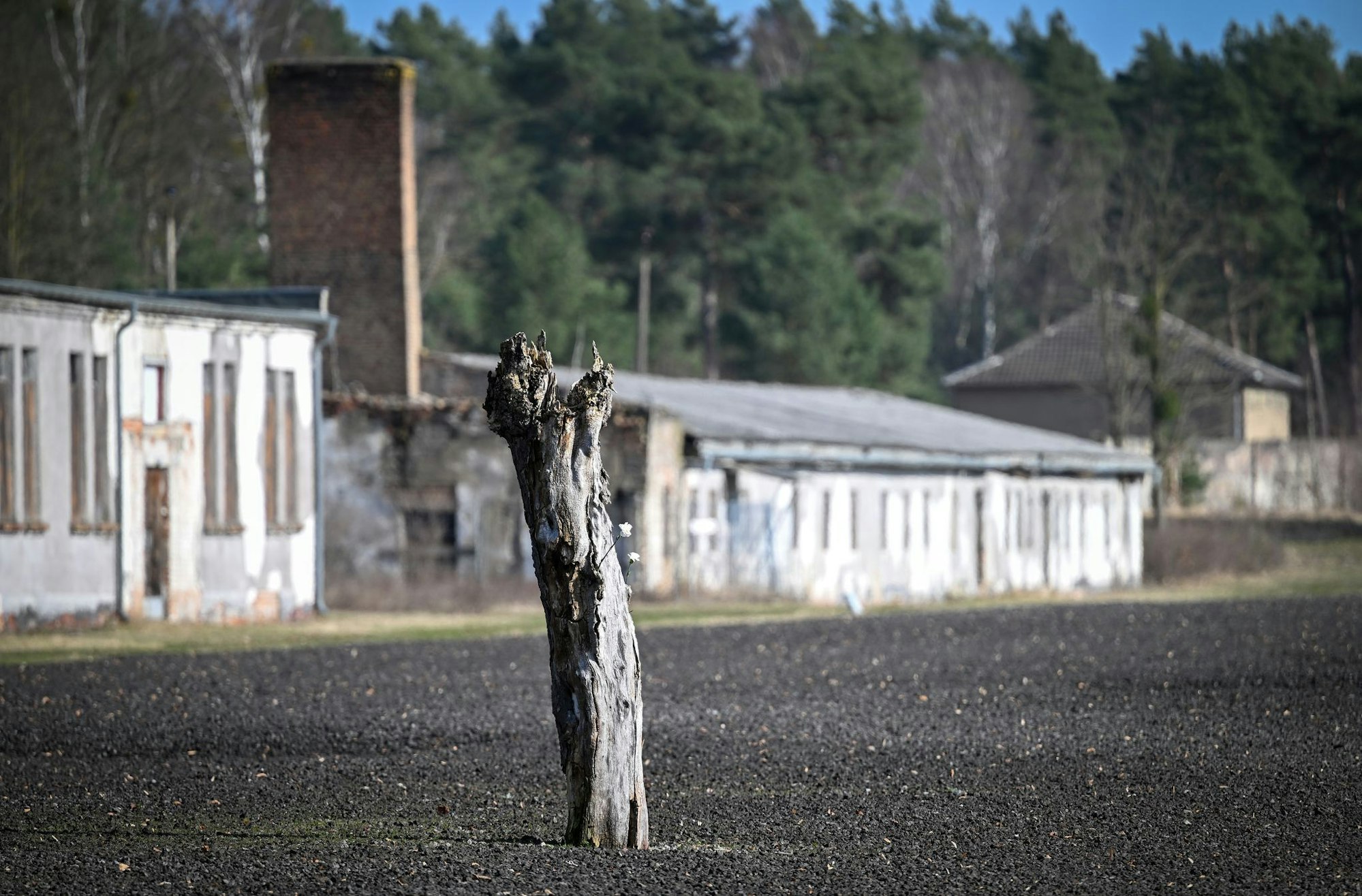 In der neuen Gedenkstättenkonzeption ist ein Schwerpunkt der Erhalt und die Sanierung historischer Orte. (Archivbild)