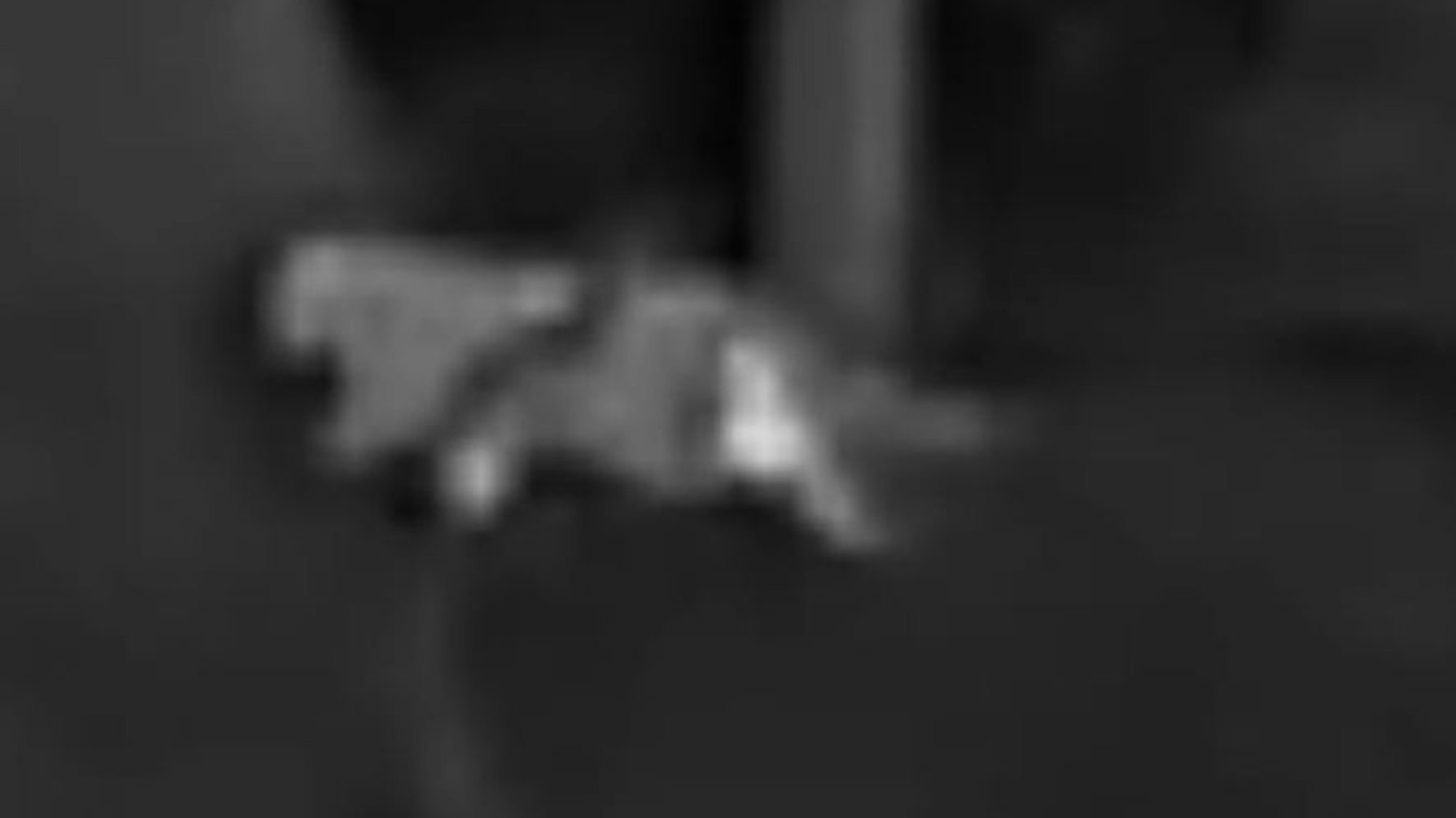 In einem Waldgebiet bei Kalenborn (Landkreis Ahrweiler in Rheinland-Pfalz) hat ein Jäger diese Foros von einer vermeintlichen Großkatze aufgenommen.