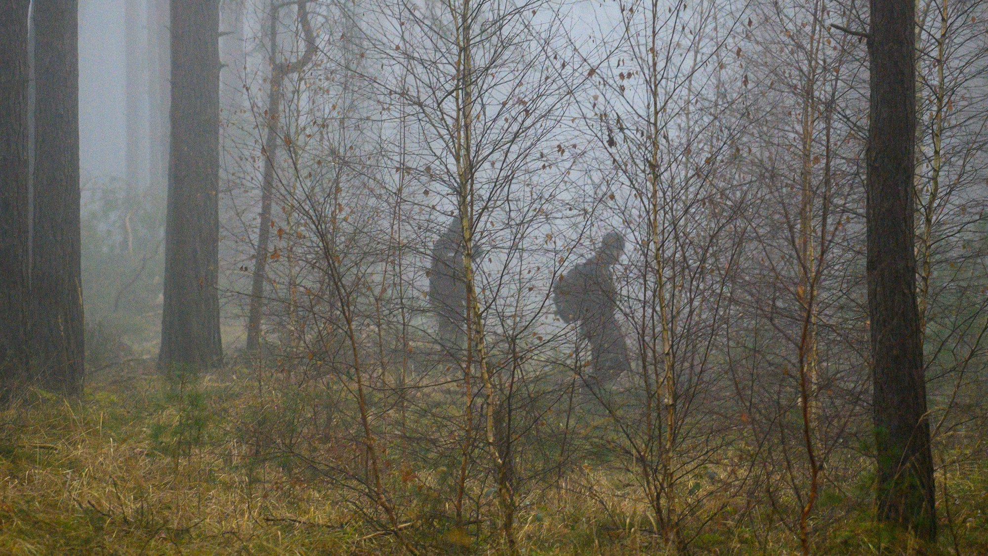 Beamte der Polizei suchen in einem Wald (Symbolfoto).