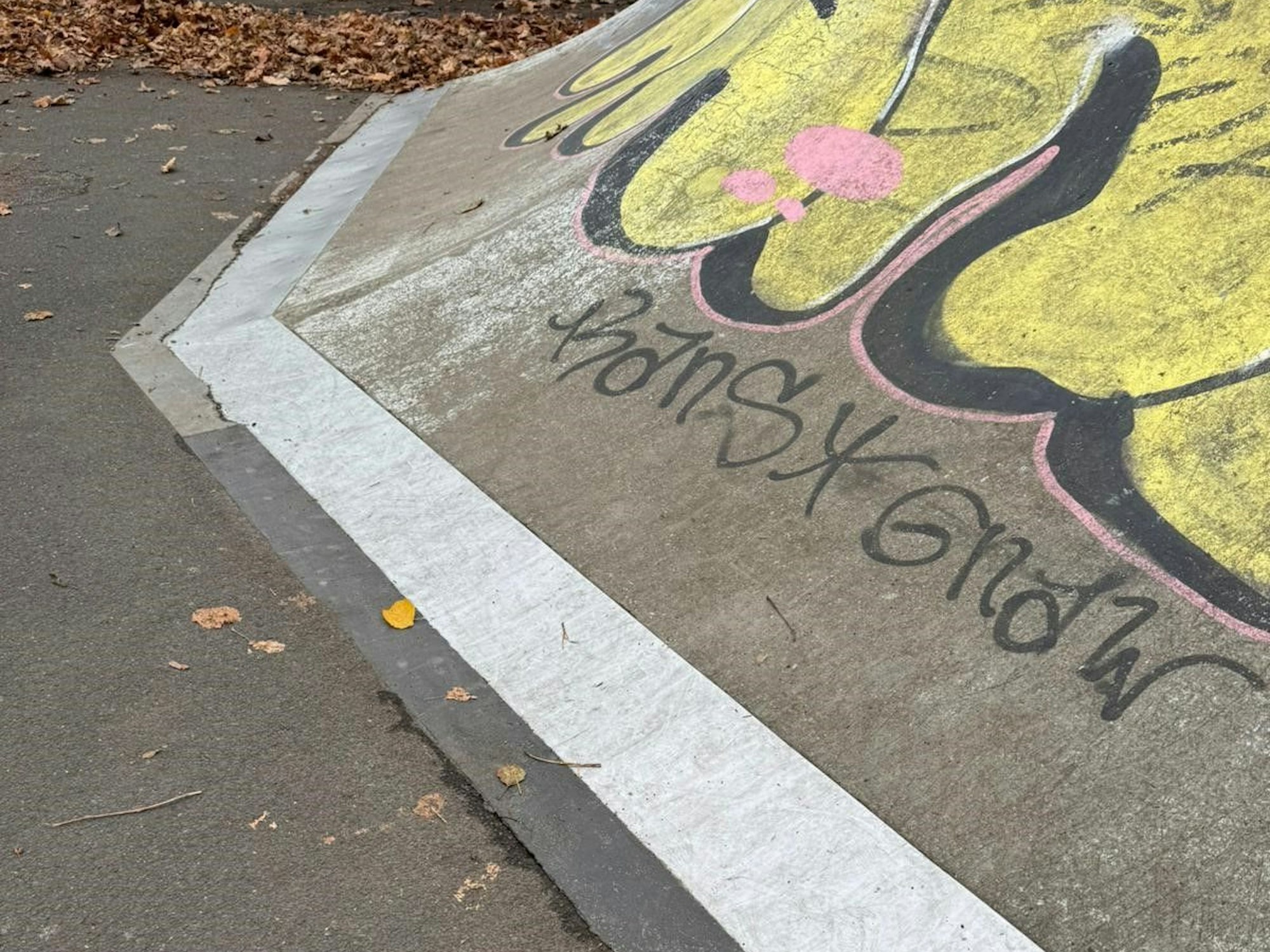 Auf dem Bild ist eine ausgebesserte Skaterrampe zu sehen.