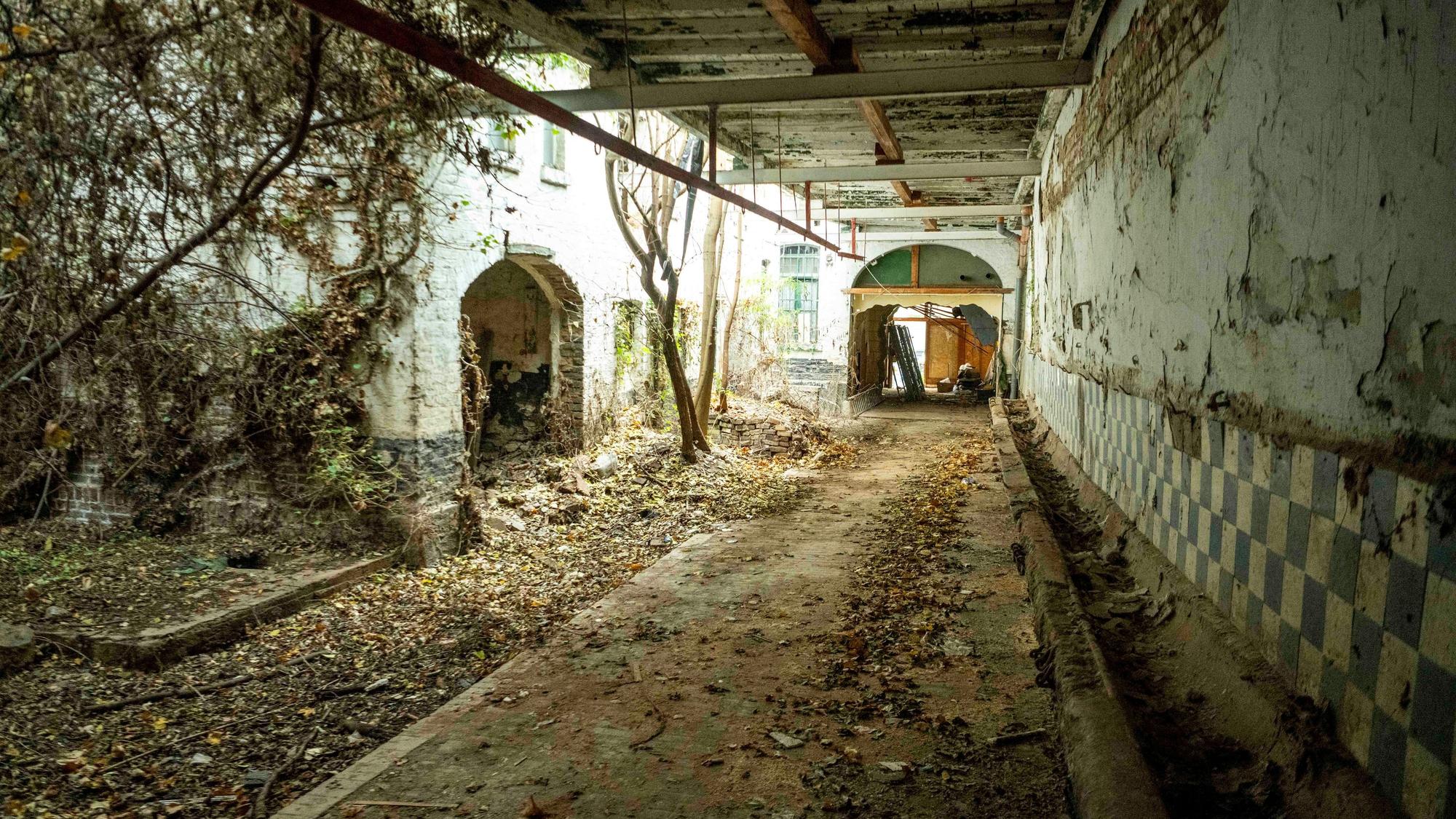 Ein Lost Place war die einstige Pferdehandlung an der Wilhelmstraße in Euskirchen. Nun werden die Gebäude abgerissen.
