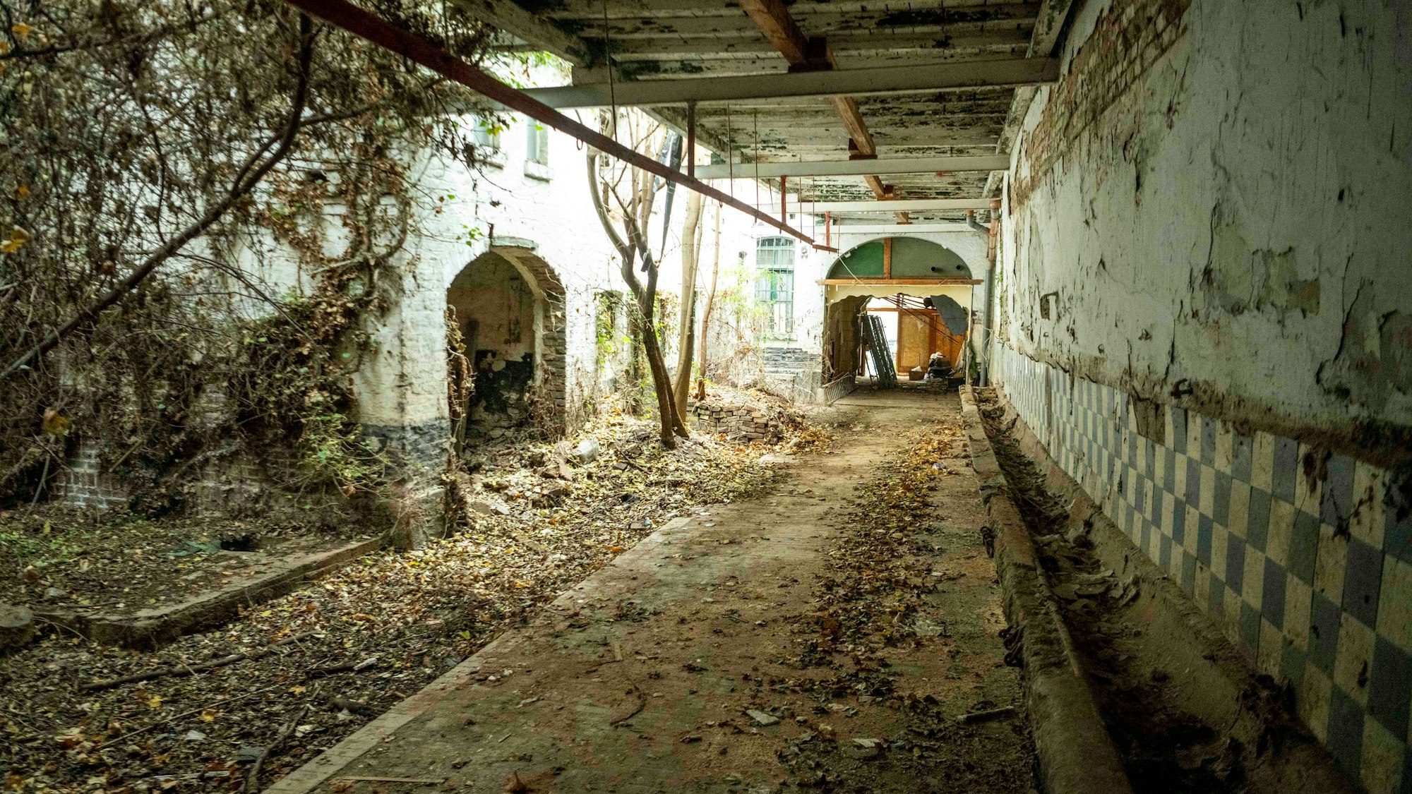Ein Lost Place war die einstige Pferdehandlung an der Wilhelmstraße in Euskirchen. Nun werden die Gebäude abgerissen.