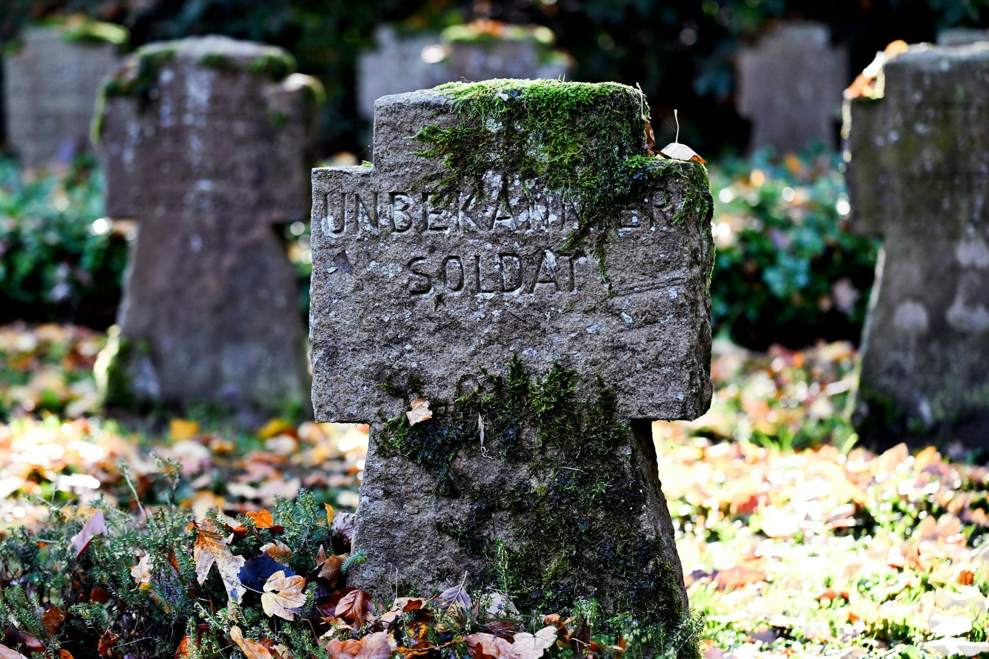 Am Volkstrauertag mahnen Politiker: Das Leid von Krieg und Diktatur darf nie vergessen werden (Archivbild).