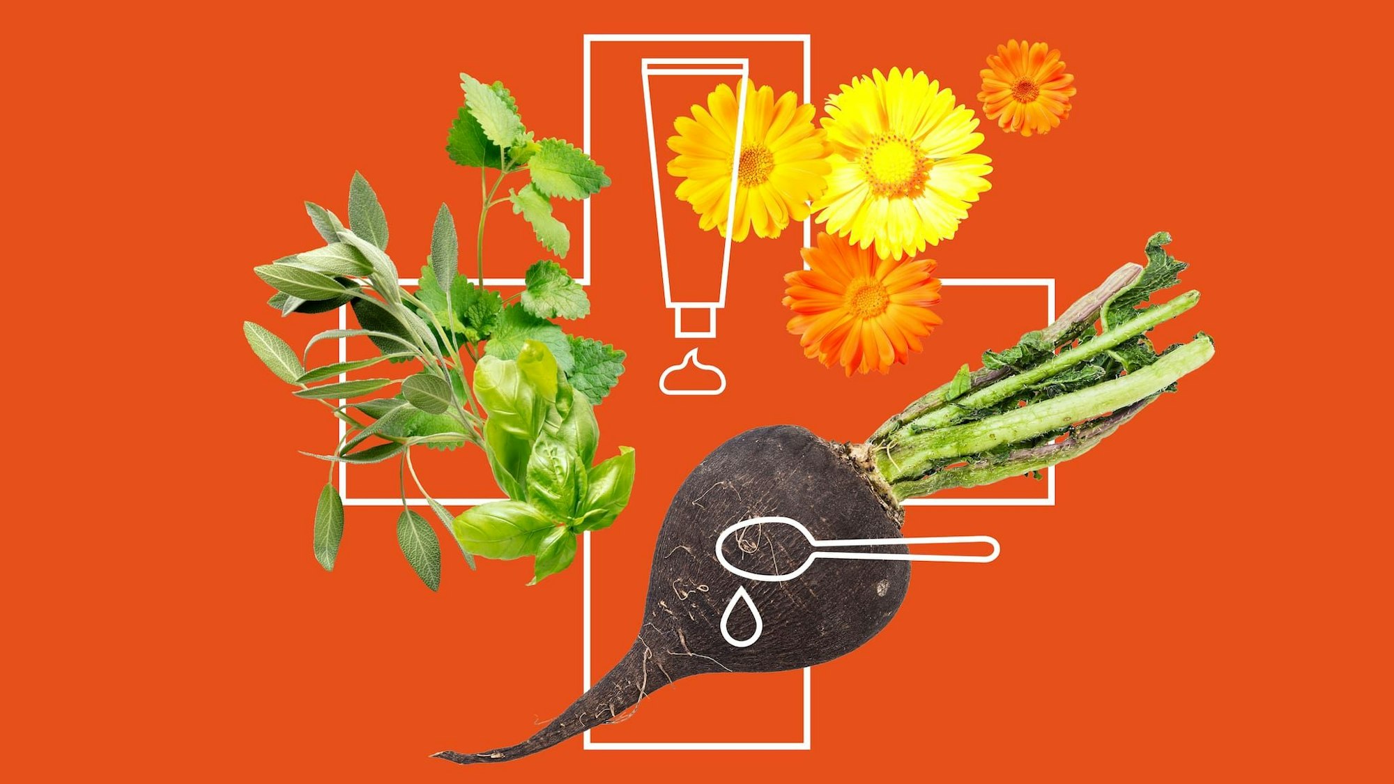 Die heilende Kraft aus dem Garten: Aus Rettich, Ringelblume und zahlreichen Kräutern lassen sich kleine Mixturen anfertigen, um die Gesundheit über den Winter ein wenig zu boostern. . RND