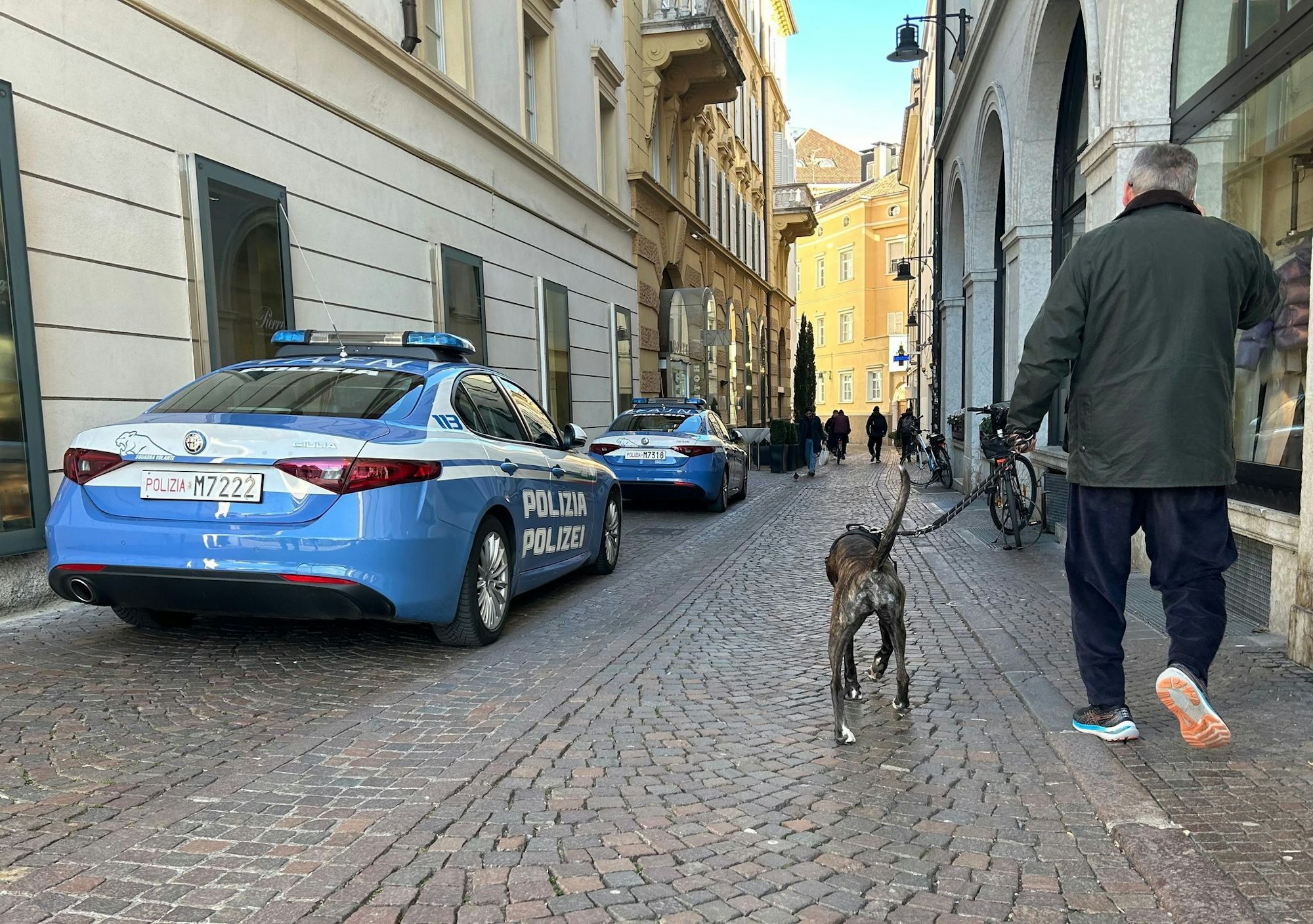 Südtirol verzichtet nun doch auf eine Art Hunde-Kurtaxe. (Archivbild)