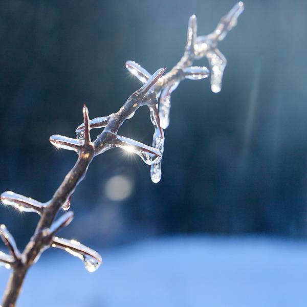Winter in der Eifel (Archivbild): NRW steht ein Kälteeinbruch bevor.