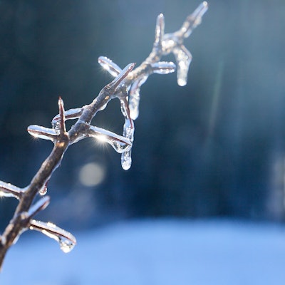 Winter in der Eifel (Archivbild): NRW steht ein Kälteeinbruch bevor.
