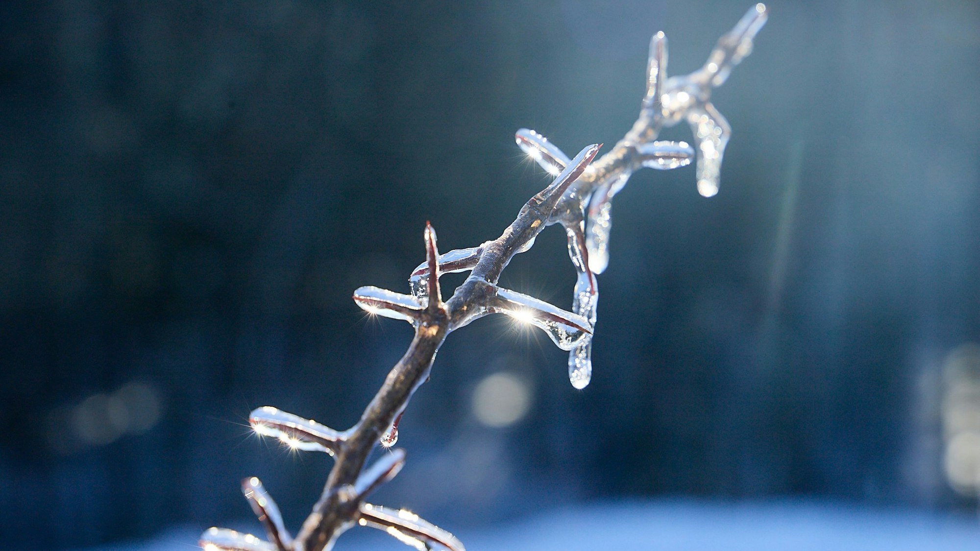 Winter in der Eifel (Archivbild): NRW steht ein Kälteeinbruch bevor.