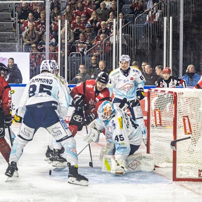 Spielszene aus dem Spiel der Kölner Haie gegen die Dresdner Eislöwen vor dem Dresdner Kasten.