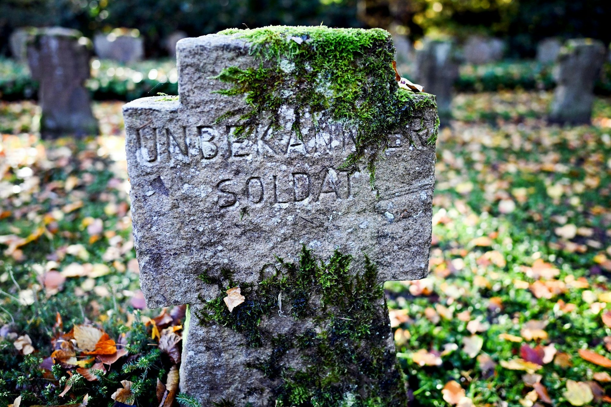 Moos wächst auf dem Grabstein eines unbekannten Soldaten - er starb vor rund 80 Jahren bei den Kämpfen am Niederrhein.