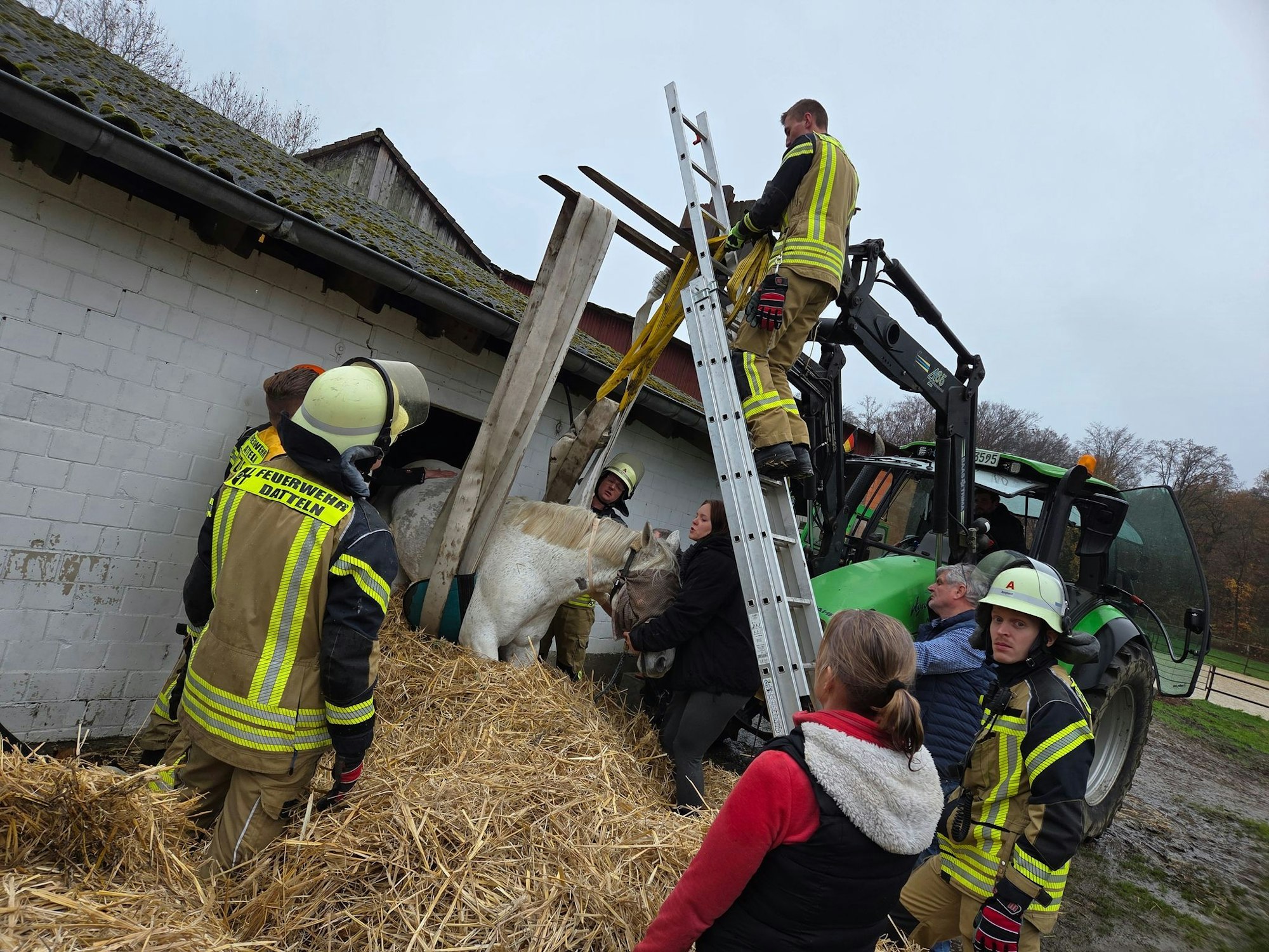 Die Feuerwehr war wegen der Rettungsaktion für ein Pferd in Datteln im Einsatz.
