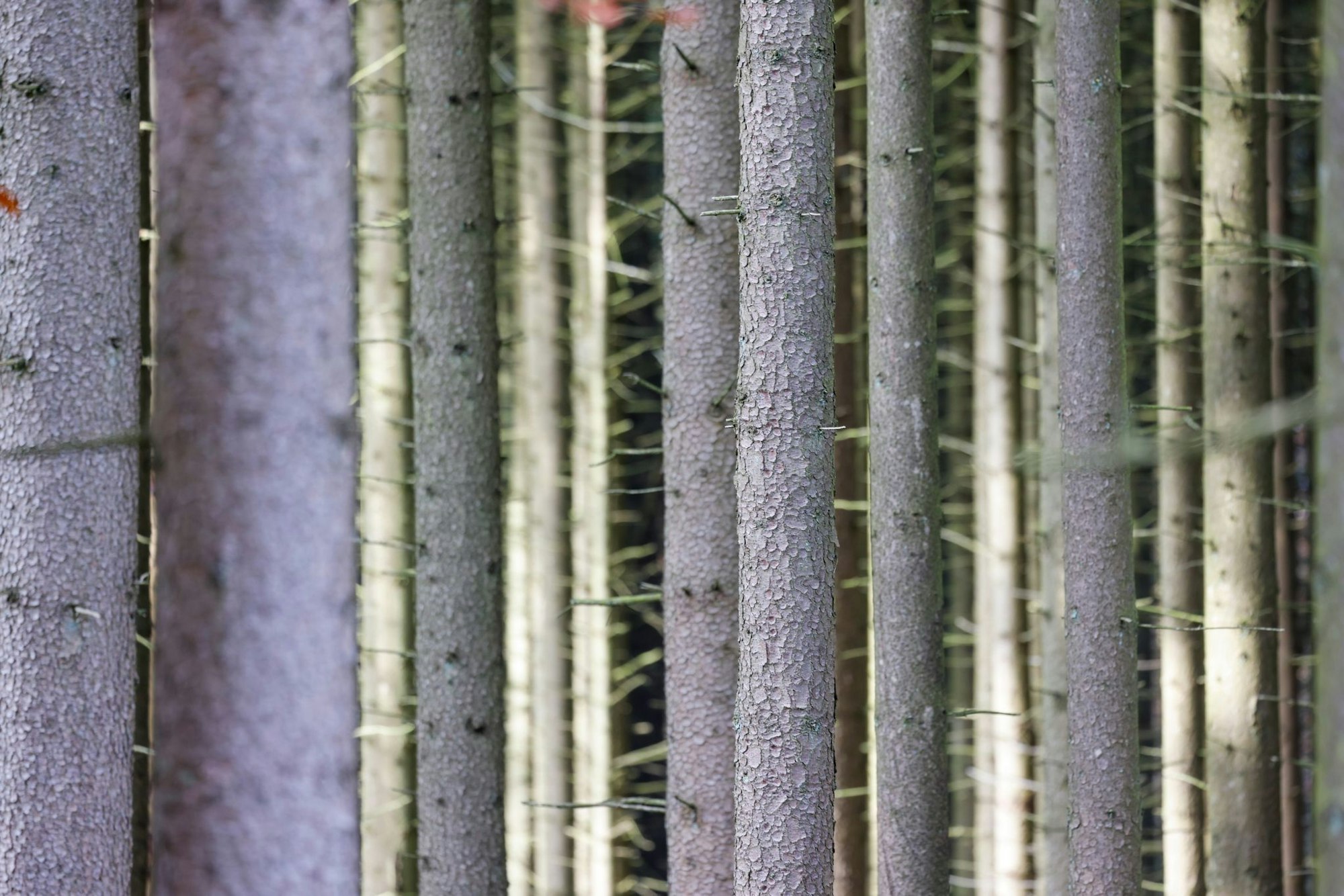 Zu Beginn der neuen Woche wird es in Nordrhein-Westfalen deutlich kühler. (Symbolbild)