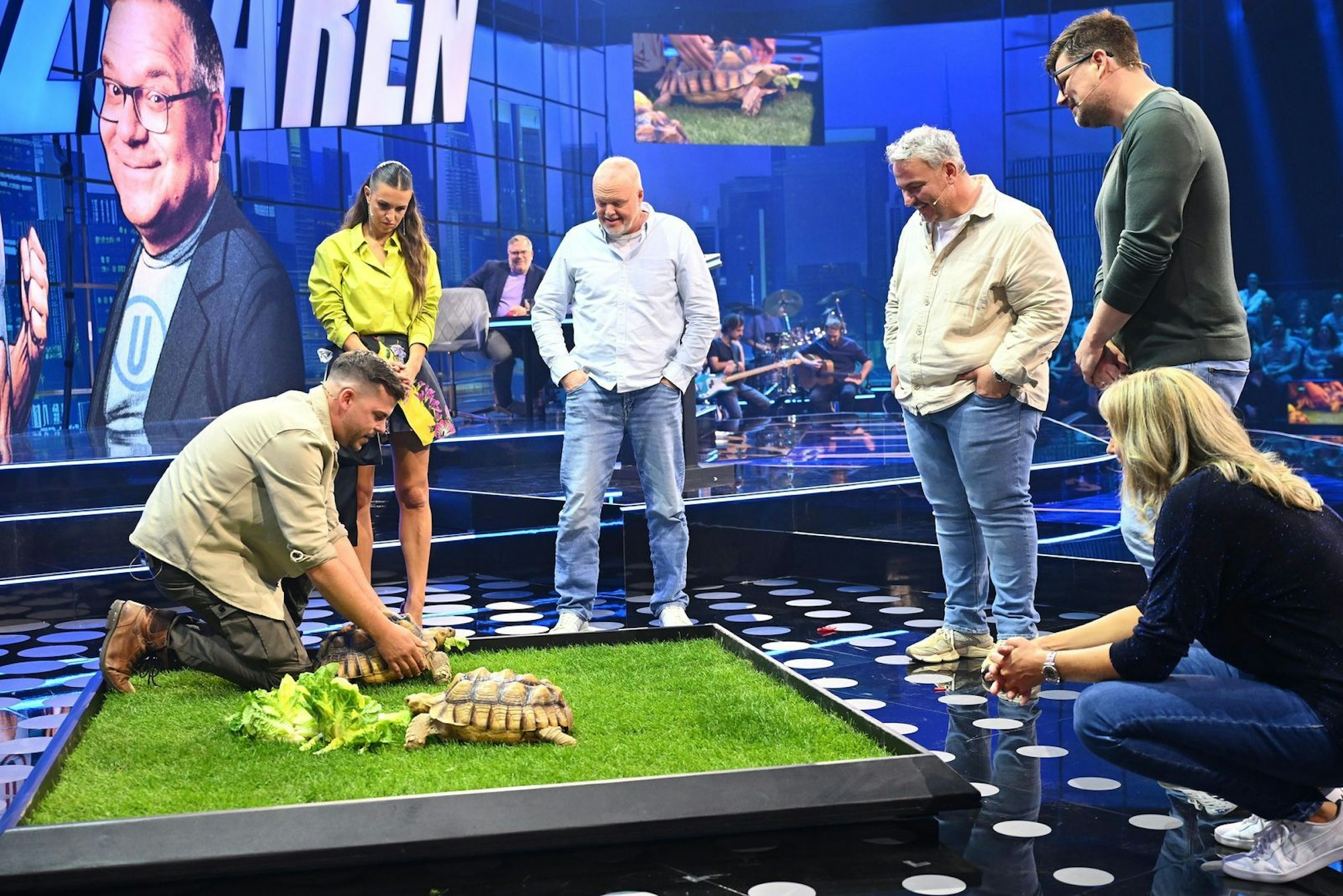 Tierische Stargäste: Die Spornschildkröten Bonnie und Clyde waren Mittelpunkt einer Quizfrage. (Bild: RTL/Raab Entertainment/Willi Weber)