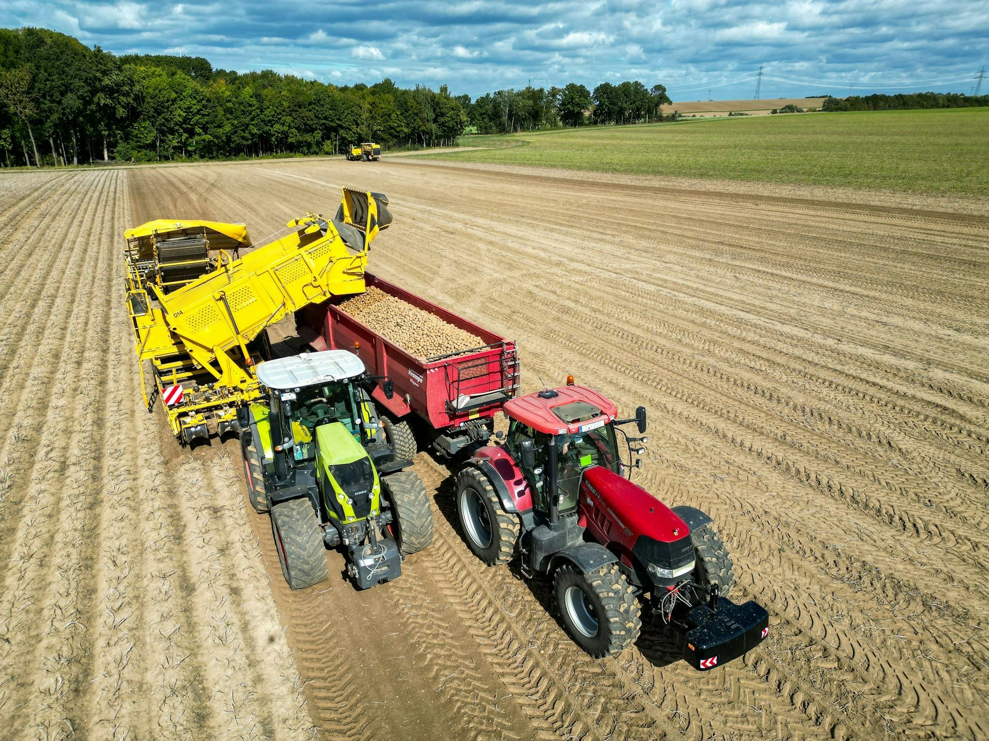 Die Kartoffelbauern haben in diesem Jahr eine sehr gute Ernte eingefahren - es sind sogar zu viele Kartoffeln, die Preise sind relativ schlecht. (Archivfoto)