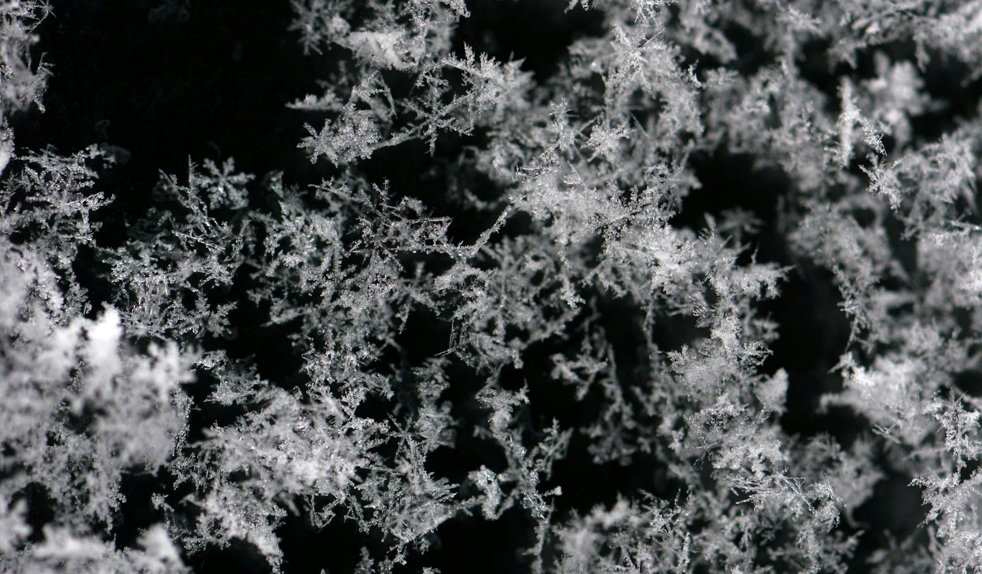 Nach einem kalten Start in die neue Woche sind im Sauerland die ersten Schneeflocken gefallen. (Symbolbild)