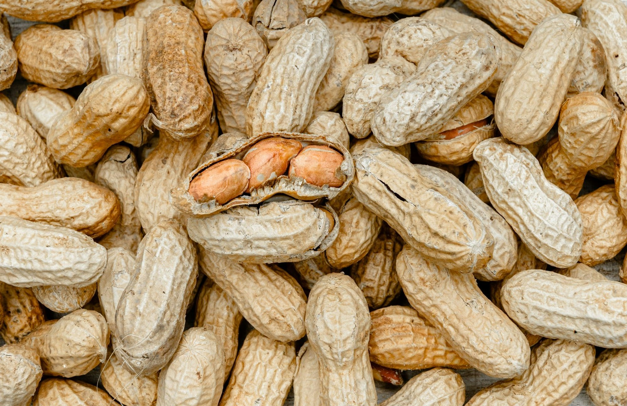Milchallergiker aufgepasst: Ültje warnt vor einer bestimmten Sorte. Sie könnten Milch enthalten, obwohl diese nicht als Zutat angegeben ist. (Symbolbild)