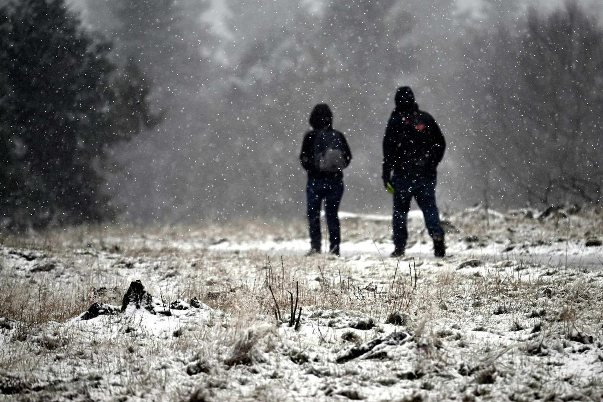 Vom Kahlen Asten werden Temperaturen von rund -0,8 Grad Celsius gemeldet.