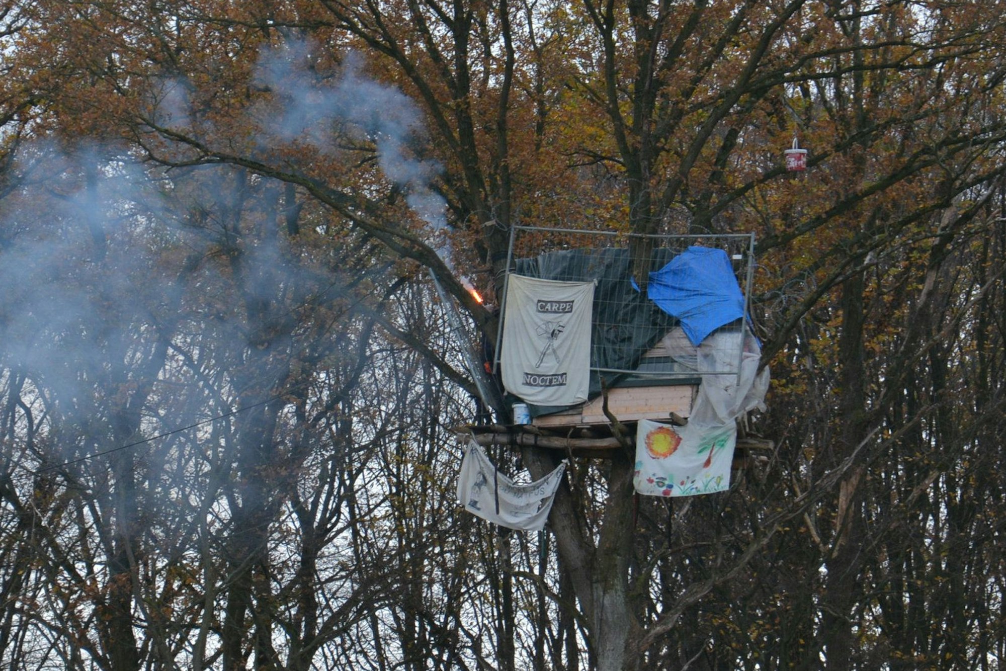 Das Bild zeigt ein Baumhaus im Sündenwäldchen.