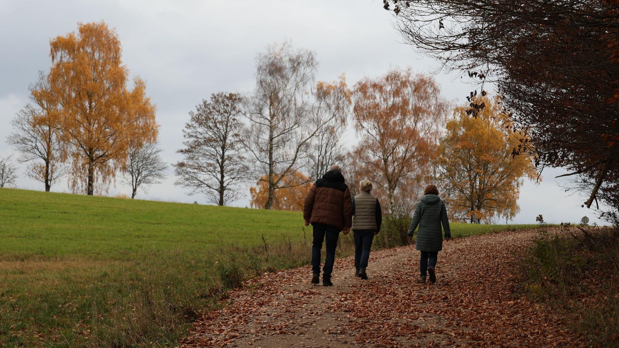 Drei Personen sind von hinten zu sehen, während sie auf einem mit Laub bedeckten Wirtschaftsweg spazieren gehen.