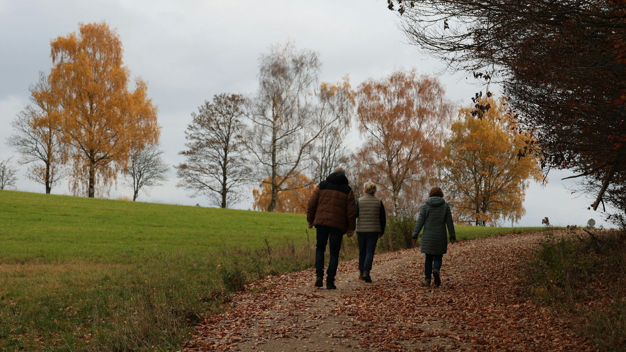 Drei Personen sind von hinten zu sehen, während sie auf einem mit Laub bedeckten Wirtschaftsweg spazieren gehen.