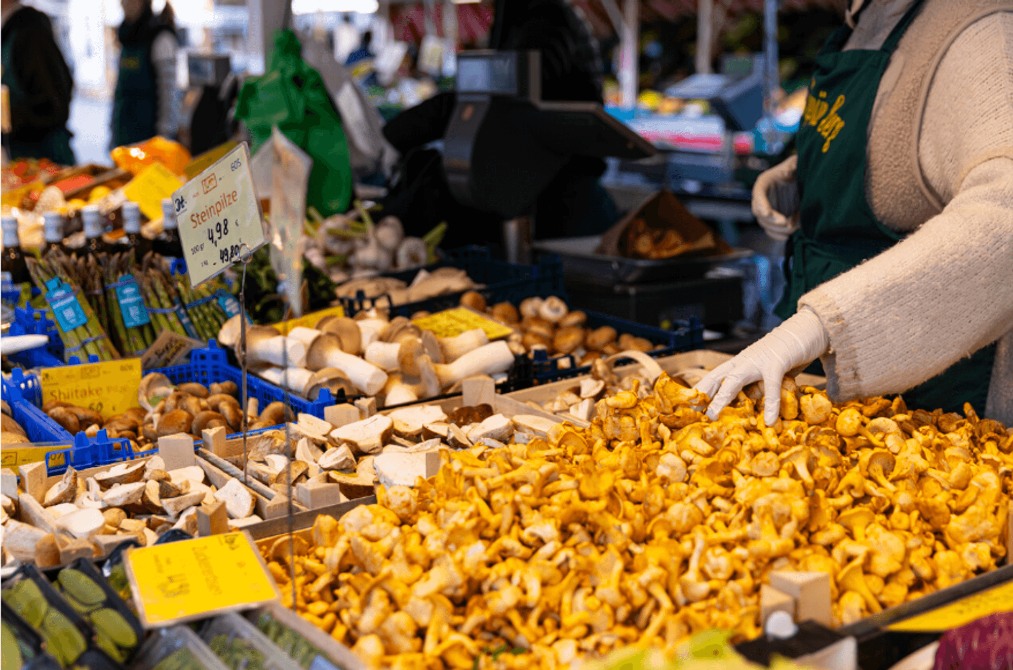 Das Bild zeigt eine bunte Auswahl an Pilzen, darunter Steinpilze, die auf einem Marktstand ausliegen