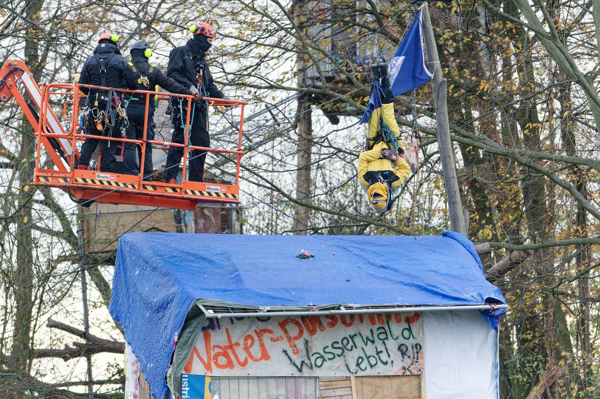 Mit einer Hebebühne nähern sich Polizisten einem Aktivisten, der kopfüber in einem Baum hängt.