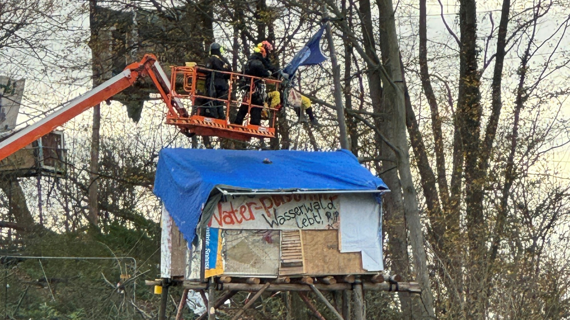 Das Bild zeigt das Sündenwäldchen am Tagebau Hambach.