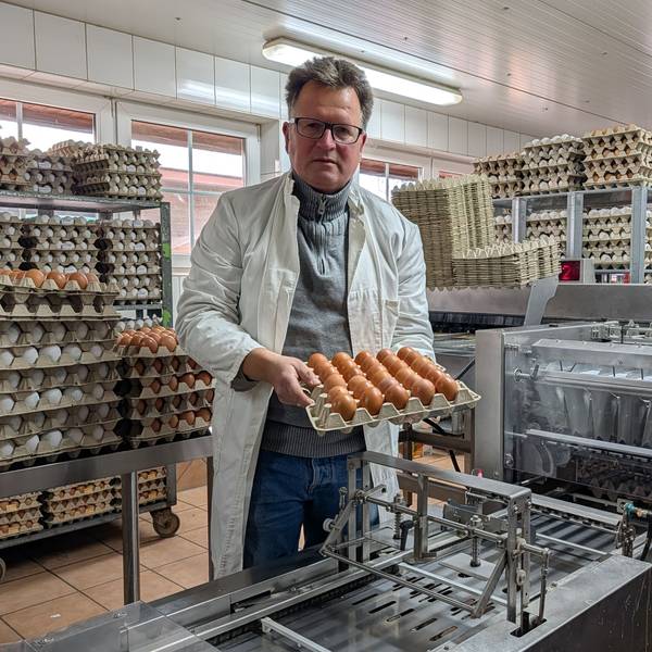 Das Foto zeigt den Landwirt mit einer Palette voller Eier an der Sortier- und Verpackungsanlage.