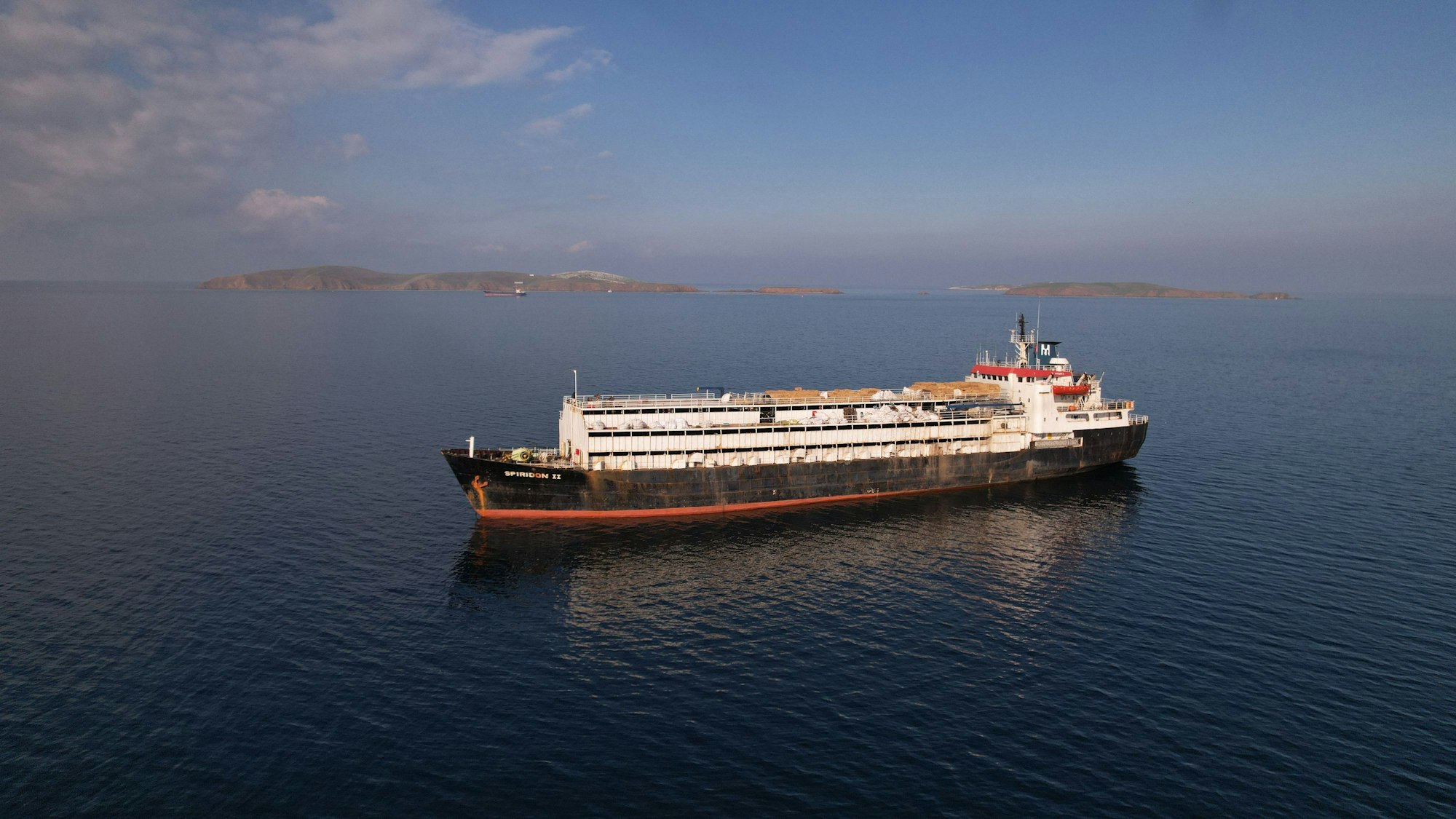 Auf diesem von der Animal Welfare Foundation zur Verfügung gestellten Bild ankert das Viehtransportschiff „Spiridon II“ mit Tausenden Rindern noch vor der türkischen Küste.